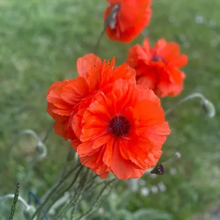 Appartement Hike & Bike Zwischen Rhein Und Mosel Waldesch