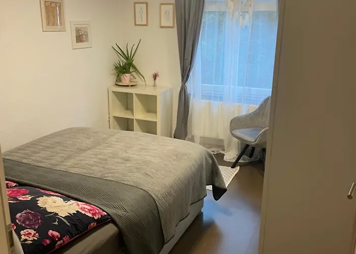 Hike & Bike Zwischen Rhein Und Mosel Waldesch