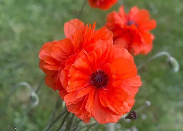 Apartamento Hike & Bike Zwischen Rhein Und Mosel Waldesch